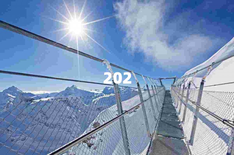 2025年，拼多多互助互砍群在多多帮助力平台汇聚众多用户，共同为优惠助力。