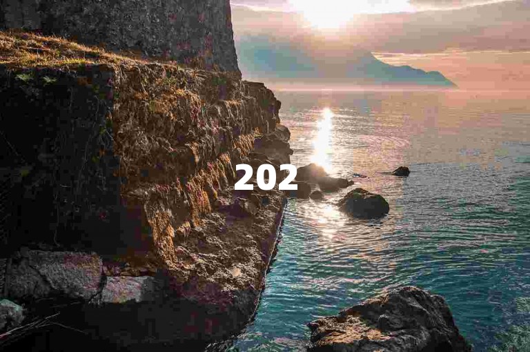 2025年拼多多的砍价免费拿活动是否真实存在，需要用户通过拼多多帮忙助力来验证。