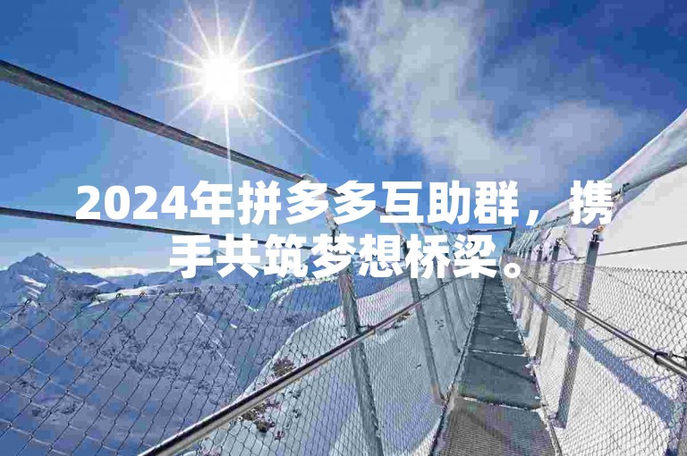 2024年拼多多互助群，携手共筑梦想桥梁。