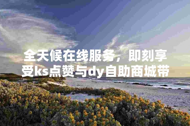 全天候在线服务，即刻享受ks点赞与dy自助商城带来的便捷，秒速获得dy粉丝增长的全新体验！