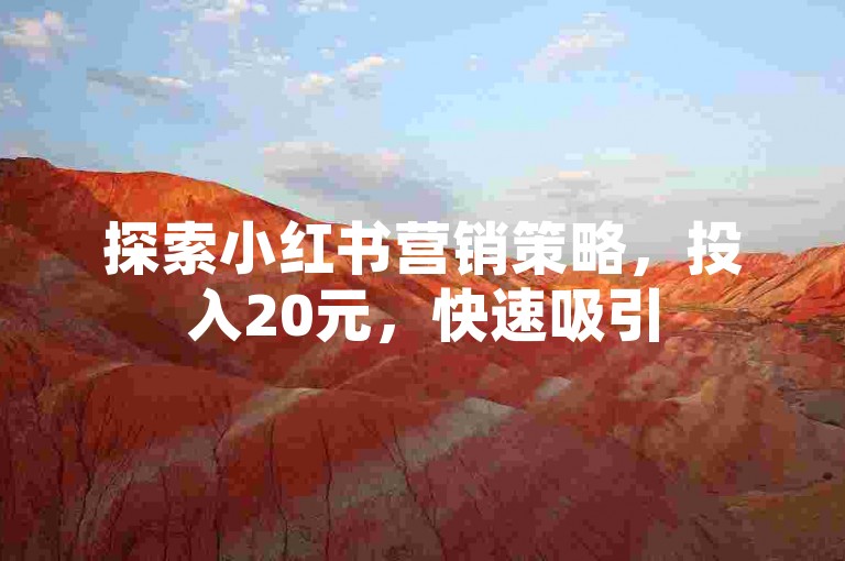 探索小红书营销策略，投入20元，快速吸引500名真实粉丝的独家技巧大公开！
