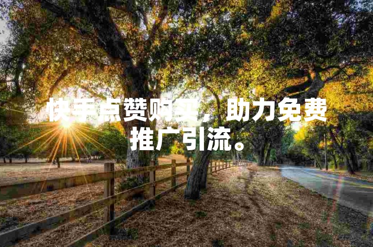 快手点赞购买，助力免费推广引流。