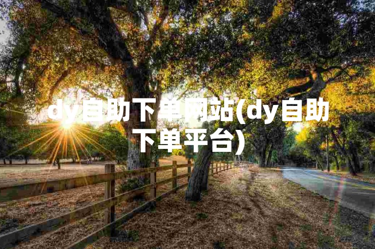 dy自助下单网站(dy自助下单平台)