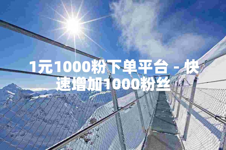 1元1000粉下单平台 - 快速增加1000粉丝