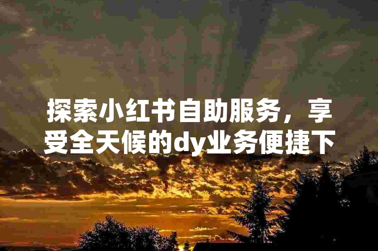 探索小红书自助服务，享受全天候的dy业务便捷下单，一切尽在免费平台。