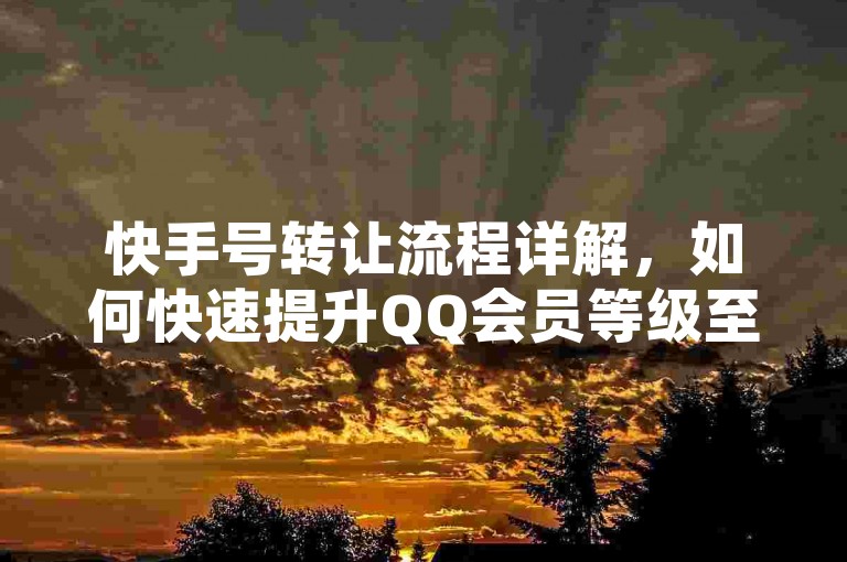 快手号转让流程详解，如何快速提升QQ会员等级至SVIP9 - 自助下单点赞服务。