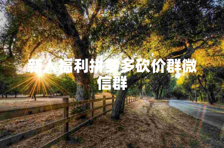 新人福利拼多多砍价群微信群