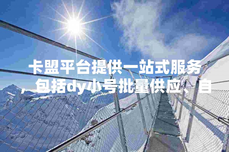 卡盟平台提供一站式服务，包括dy小号批量供应、自动发货系统以及快手推广和QQ空间免费点赞功能。