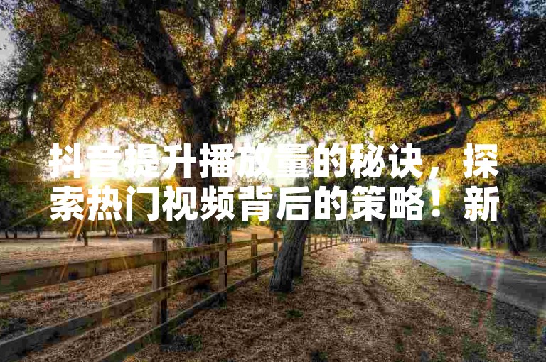 抖音提升播放量的秘诀，探索热门视频背后的策略！新手必读！