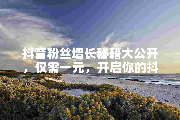 抖音粉丝增长秘籍大公开，仅需一元，开启你的抖音涨粉之旅！2025必备技巧。