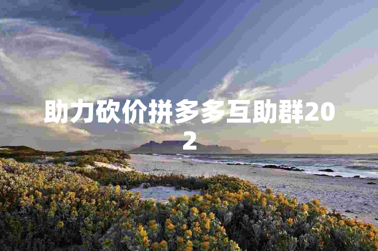 助力砍价拼多多互助群2025，一起享受更多优惠！