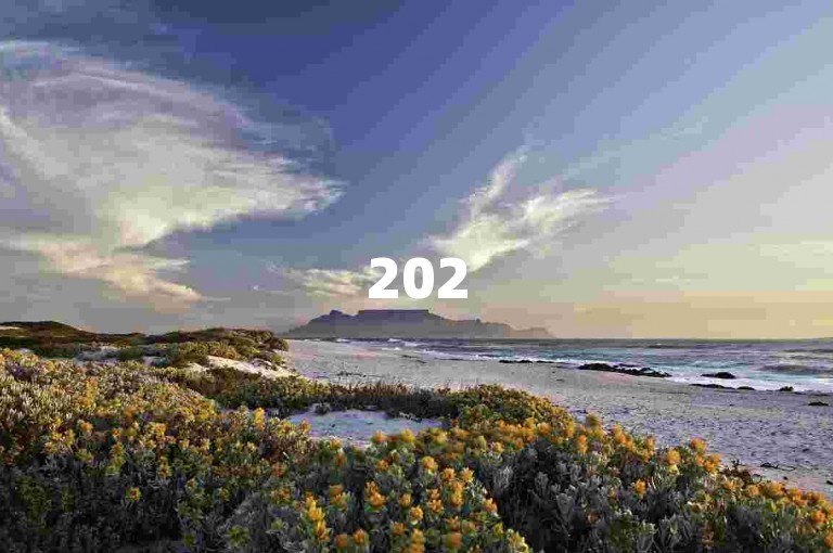 2025年拼多多店铺提升销量的新技巧与策略揭秘。