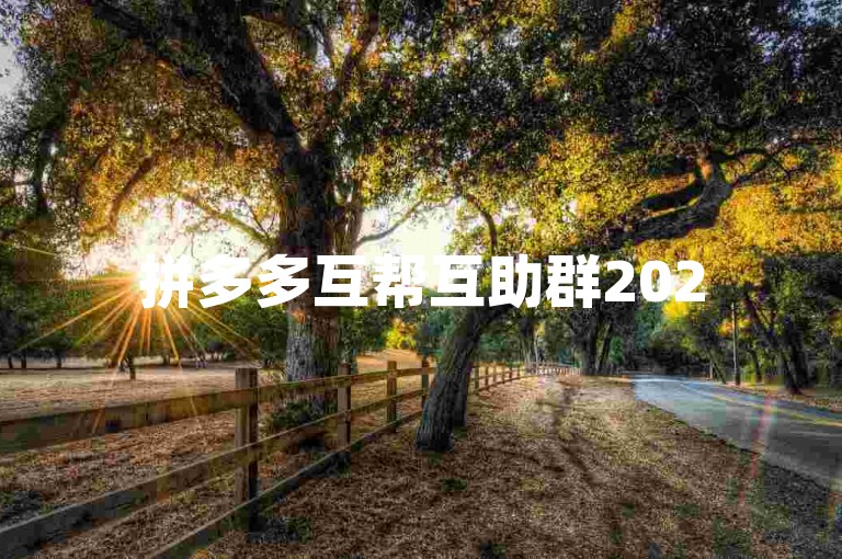 拼多多互帮互助群2025{多多助力网站}